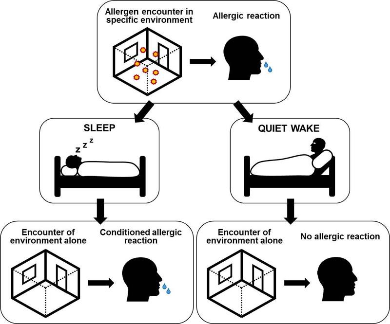 allergic reaction wrong place neuroscienwss