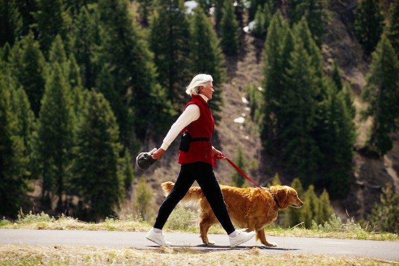 Avoir un chien est associé à une vie plus longue