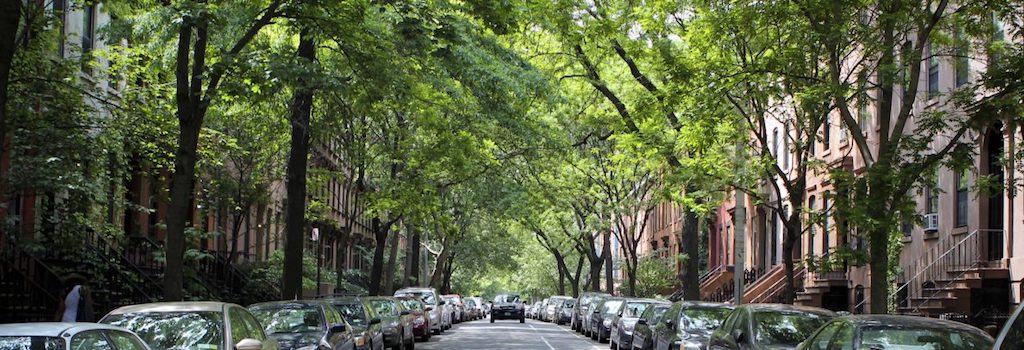 Vivre dans une rue avec des arbres est bon pour la santé mentale