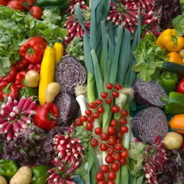 Une alimentation riche en fruits et légumes diminue le stress