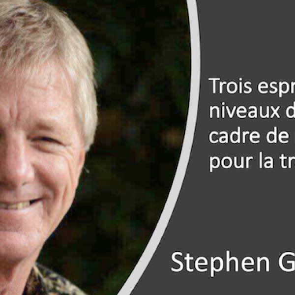 Niveaux de conscience, relation à soi et transe générative par Stephen Gilligan