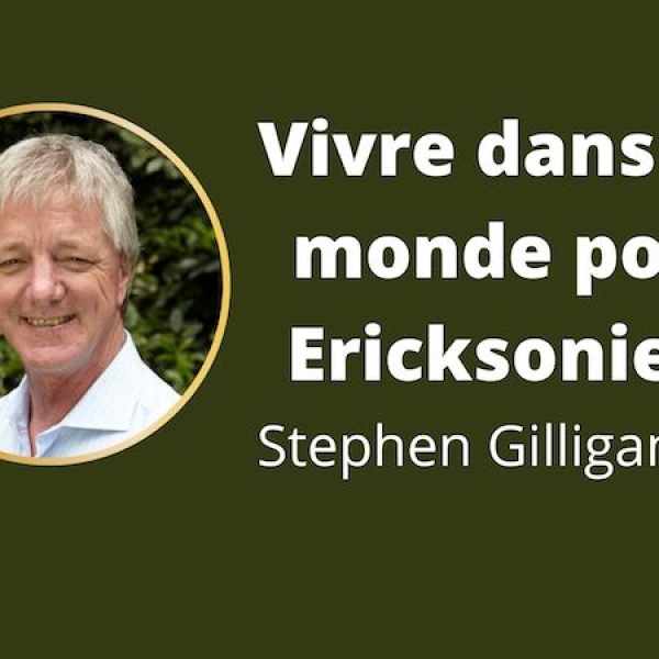 Vivre dans un monde post Ericksonien par Stephen Gilligan