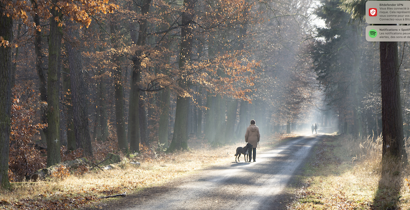 Les activités de plein air sont liées à une réduction de l'inflammation