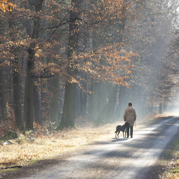 Les activités de plein air sont liées à une réduction de l'inflammation